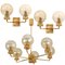 Large Gold-Plated Glass Wall Lights in the Style of Brotto, Italy 10