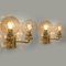 Large Gold-Plated Glass Wall Lights in the Style of Brotto, Italy 6