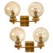 Large Gold-Plated Glass Wall Lights in the Style of Brotto, Italy 1