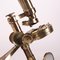 Binokulares Compound-Mikroskop von R & J. Beck 4