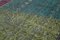 Fuchsia Überfärbter Teppich 5