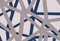 Manta Cobweb de Roberta Licini, Imagen 2
