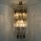 Chandeliers by Carlo Nason for Mazzega, 1970s, Set of 2 11