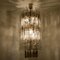 Chandeliers by Carlo Nason for Mazzega, 1970s, Set of 2 7