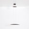 Bronze Tai Lang Pendant Lamp by Tobias Grau 12