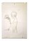 Leo Guida, desnudo con monos, dibujo original, años 70, Imagen 1