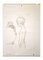 Leo Guida, Nude with Monkeys, Original Drawing, 1970s 1