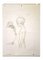 Leo Guida, Nude with Monkeys, Original Drawing, 1970s, Image 1