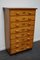 German Beech Industrial Apothecary Cabinet, Mid-20th Century 4