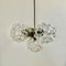 Malina Chandelier, Image 1