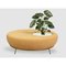 Nest Round Sofa Planter by Paula Rosales 5