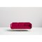 Small Alce Pink Sofa by Chris Hardy 3