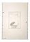 Leo Guida, The Bird, Drawings, 1970s, Image 1