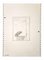 Leo Guida, The Bird, Drawings, anni '70, Immagine 1