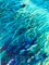 Turquoise Blues Waterscape, 2021, Image 4