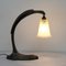 Art Nouveau French Table Lamp in Bronze and Glass 8