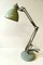 Lampe de Bureau Naska Loris de Luxo 3