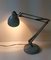 Lampe de Bureau Naska Loris de Luxo 6