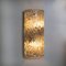 Large Modern Brass Ice Glass Wall Light by J. T. Kalmar for Cor, 1960s, Image 6