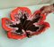 Colorful Ceramic Table Centerpiece in Leaf Shape from Vallauris France 13