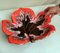 Colorful Ceramic Table Centerpiece in Leaf Shape from Vallauris France, Image 13