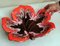 Colorful Ceramic Table Centerpiece in Leaf Shape from Vallauris France 12