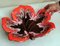 Colorful Ceramic Table Centerpiece in Leaf Shape from Vallauris France, Image 12