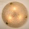 Brass and Blown Murano Glass Wall Light or Flush Mount, 1960s 2