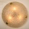Brass and Blown Murano Glass Wall Light or Flush Mount, 1960s, Image 2