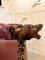 Poltrona antica vittoriana in legno di quercia intagliato, Immagine 15