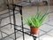 Florist's Plant Stands, Set of 2, Image 5