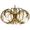 Pulsar Completo Brass Chandelier 1