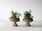 Weathered Pedestal Planters, Set of 2 2