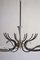 Italian Spider Chandelier in Lumi Milano Style, 1950s 12