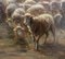 Grande Peinture de moutons au pâturage par A. Charpin, 1906 15