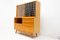 Mid-Century U-300 Credenza by Hubert Dont Jiton & Bohumil Landsman for Jitona, 1960s 4