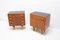 Mid-Century Mahogany Nightstands by Frantisek Mezulanik, Set of 2, Image 3