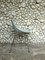 Gray Coquillage Chair by Pierre Guariche for Meurop, 1960s 3