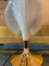 Calla Lily Table Lamps by Franco Luce, Set of 2 11