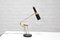 Mid-Century Robotic Desk Lamp by Oscar Torlasco, Italy, 1950s 2