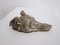 Sujetapapeles de bronce para perro galgo, 1915, Imagen 4