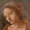 Vierge Marie, Florence, années 1480, Peinture à l'Huile sur Planche de Bois 6