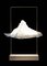Matterlight Table Lamp in Silver & Walnut by Boris Dennler 2