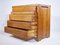 R09A Teak Commode with 5 Drawers by Pierre Chapo, 1960s 4