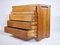 R09A Teak Commode with 5 Drawers by Pierre Chapo, 1960s, Image 4