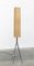 German Metal and Plastic Floor Lamp from Hesse Leuchten, 1960s 14