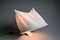 Circo Table Lamp by Mario Bellini for Artemide 1