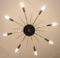 Large Sputnik Ceiling Light, 1950s 3