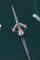 Imágenes de menta, un solo barco de remo y un remo en el agua, vista desde arriba, desenfoque de movimiento, papel fotográfico, Imagen 1