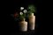 Short Pine Alberi Vase by Gumdesign for Hands on Design 8